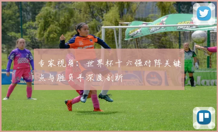 专家视角：世界杯十六强对阵关键点与胜负手深度剖析