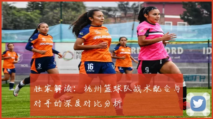 独家解读：杭州篮球队战术配合与对手的深度对比分析