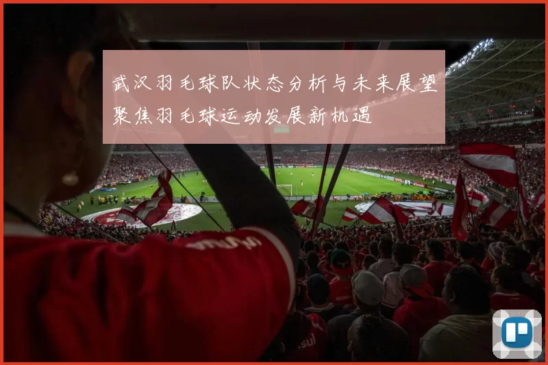 武汉羽毛球队状态分析与未来展望聚焦羽毛球运动发展新机遇