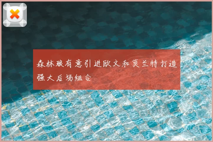 森林狼有意引进欧文和莫兰特打造强大后场组合