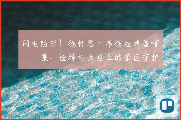 闪电防守!德怀恩·韦德经典盖帽合集,诠释何为后卫的禁区守护
