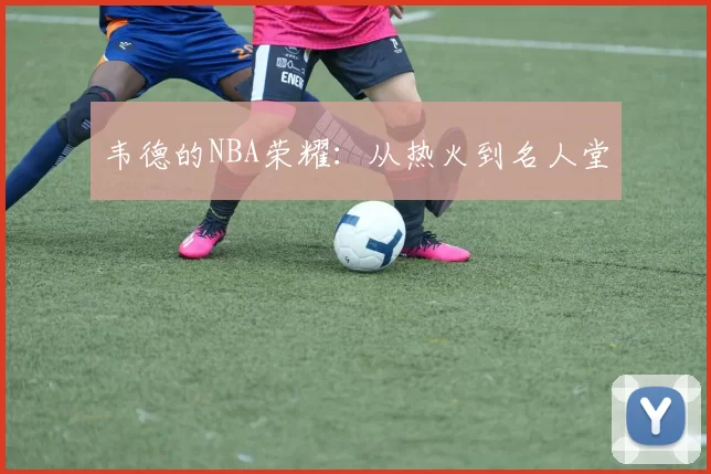 韦德的NBA荣耀：从热火到名人堂