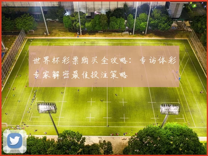 世界杯彩票购买全攻略:专访体彩专家解密最佳投注策略