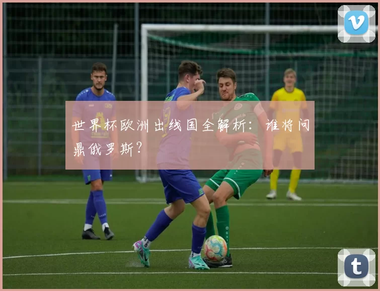 世界杯欧洲出线国全解析：谁将问鼎俄罗斯？