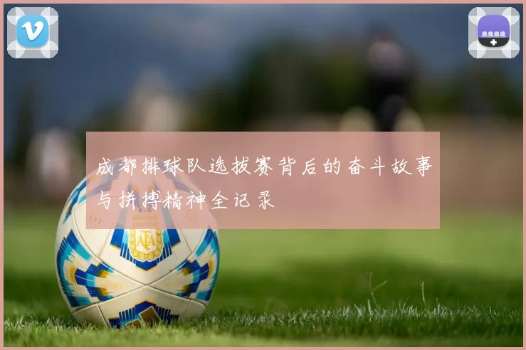 成都排球队选拔赛背后的奋斗故事与拼搏精神全记录