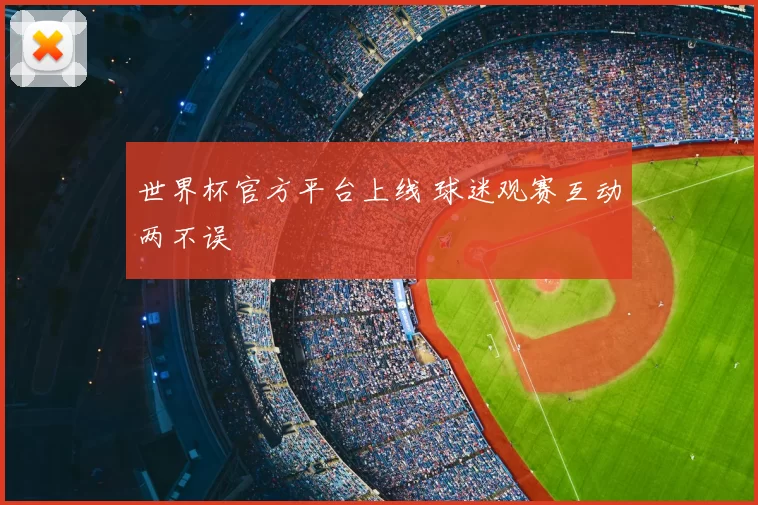 世界杯官方平台上线 球迷观赛互动两不误