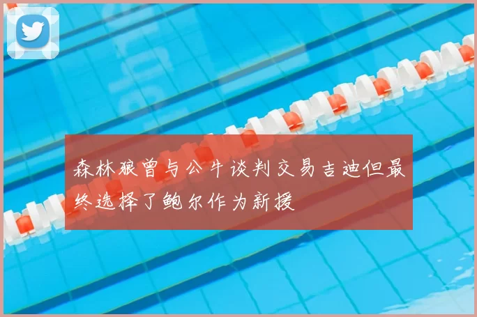 森林狼曾与公牛谈判交易吉迪但最终选择了鲍尔作为新援