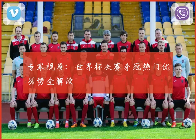 专家视角：世界杯决赛夺冠热门优劣势全解读