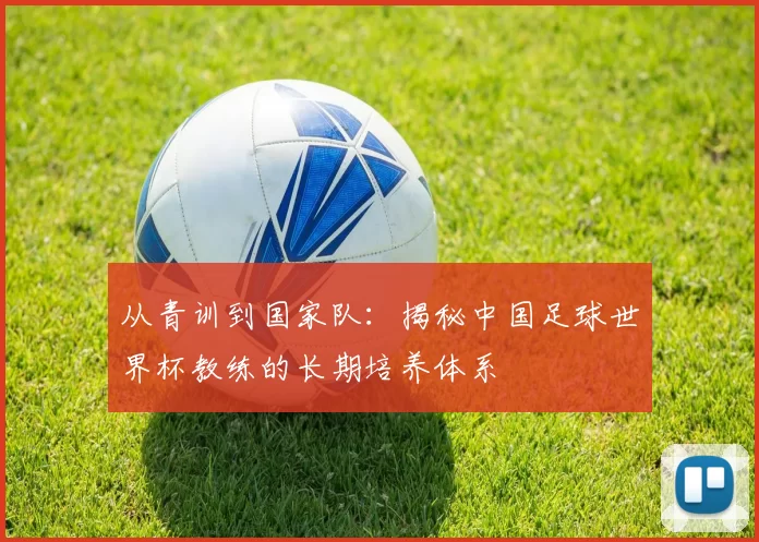 从青训到国家队:揭秘中国足球世界杯教练的长期培养体系