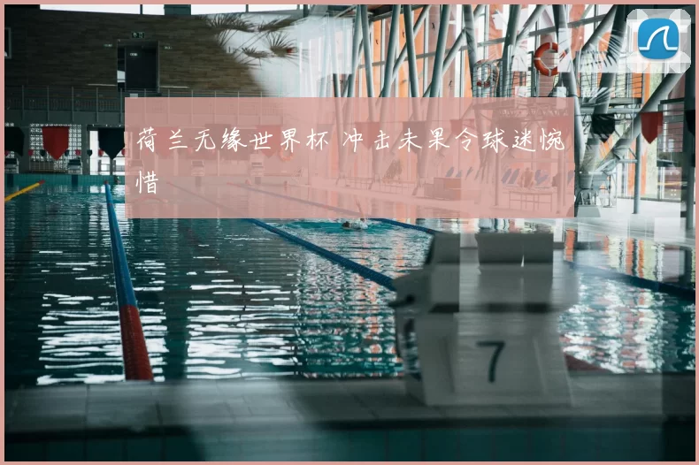 荷兰无缘世界杯 冲击未果令球迷惋惜